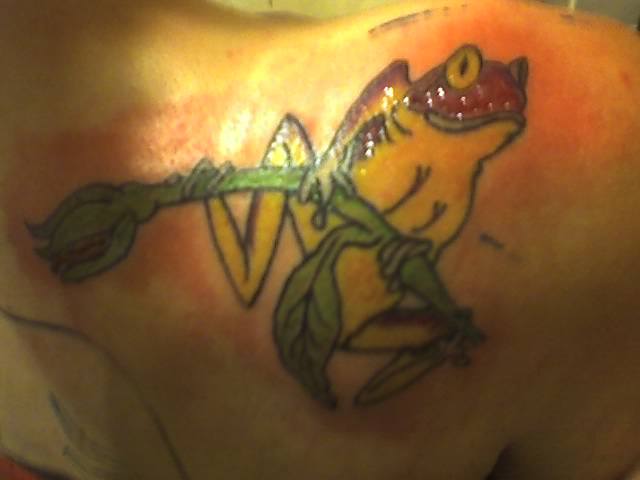 right shoulder frog